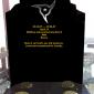 25042009007_modded_goldish_eternity